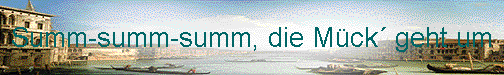  Summ-summ-summ, die M�ck� geht um 